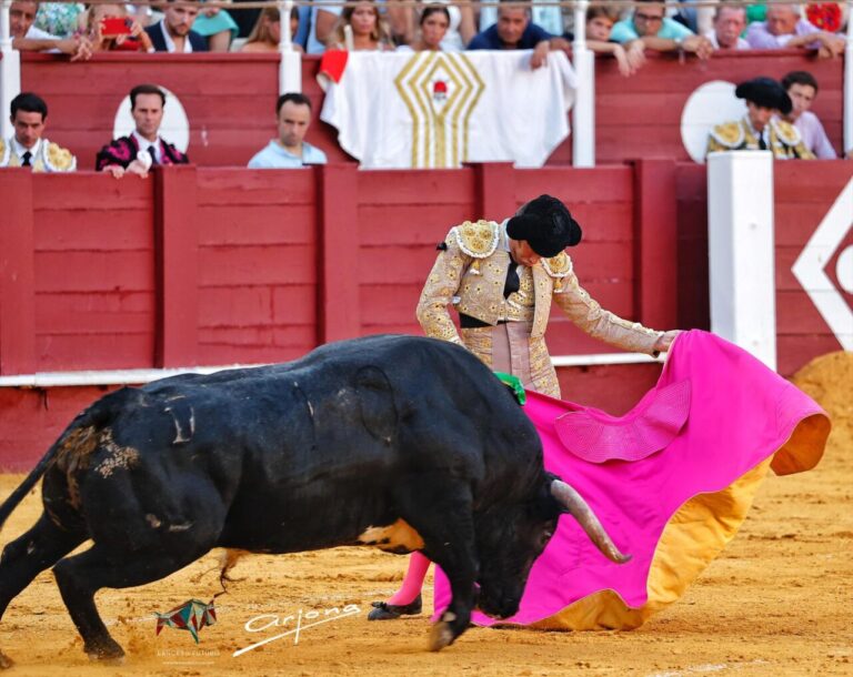 Oreille pour José Garrido à Malaga et une tauromachie tempérée par David de Miranda
