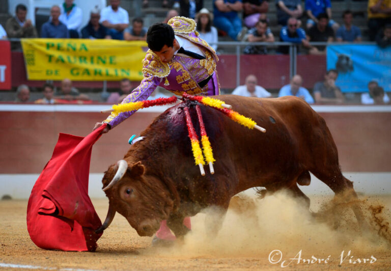Oreille pour un caillé de Garcia Pulido d&rsquo;une corrida inégale de Pedraza