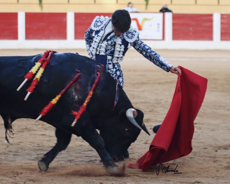 Pedrajas de San Esteban : Jarocho, grave encornure à la cuisse droite avec trois trajectoires dont une de plus de 25 cm.  ça va de l&rsquo;aine au genou