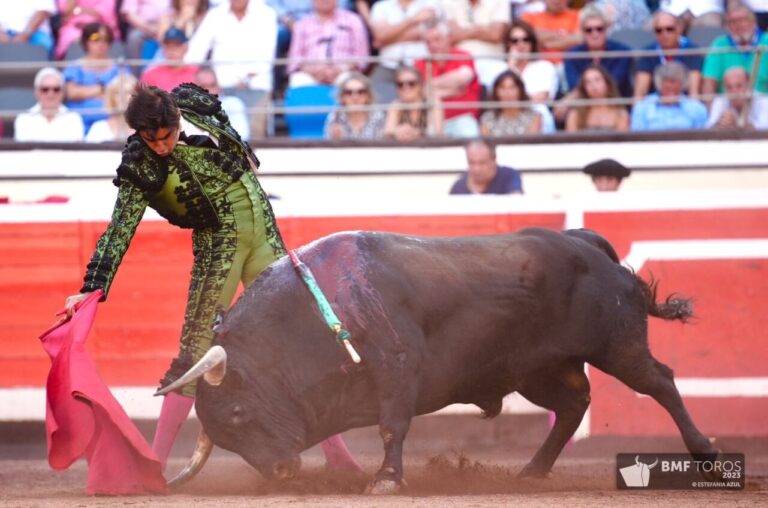 Perera et la persévérance de la tauromachie