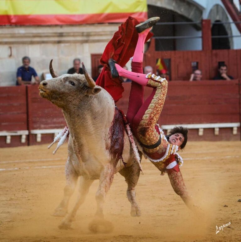 Roca Rey, blessée par une corne de taureau de &rsquo;18 centimètres avec une trajectoire ascendante dans le tiers médian de la jambe droite&rsquo; (Rapport médical)