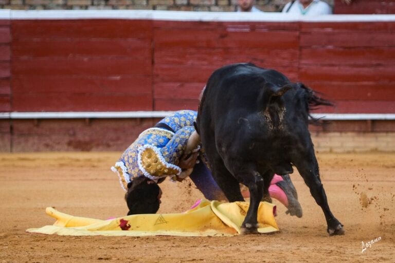 Roca Rey, &lsquo;contusion dans le vaste antérieur de la cuisse gauche&rsquo; après un énorme saut périlleux dans le premier (Partie et Photos)