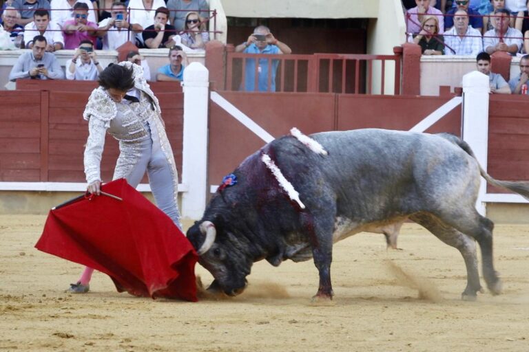 Roca Rey impose sa corrida aux &lsquo;santacolomas&rsquo; de Rehuelga