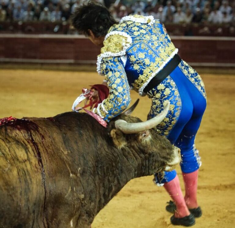 Roca Rey, un autre vilain saut périlleux à Huelva dans le cinquième (Photos)