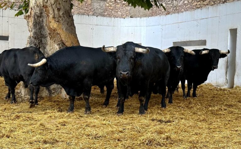 Ceux de Los Espartales sont prêts pour la dernière foire de Murcie