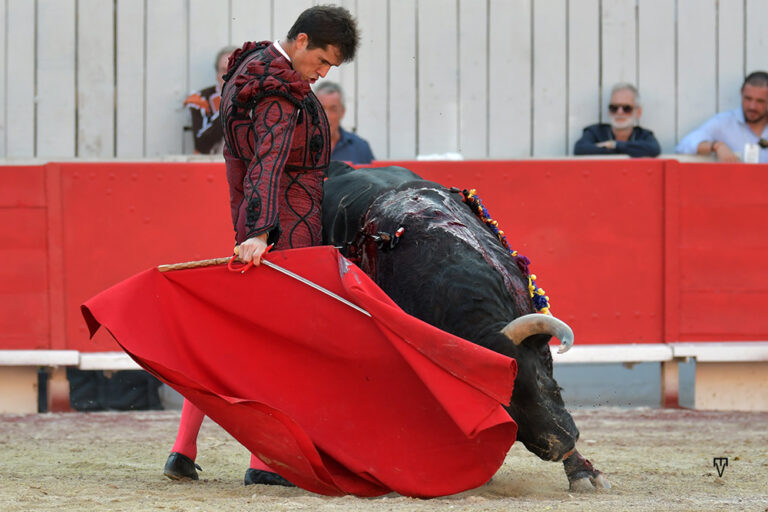 Daniel Luque et Jandilla, lauréats de l&rsquo;année à Arles
