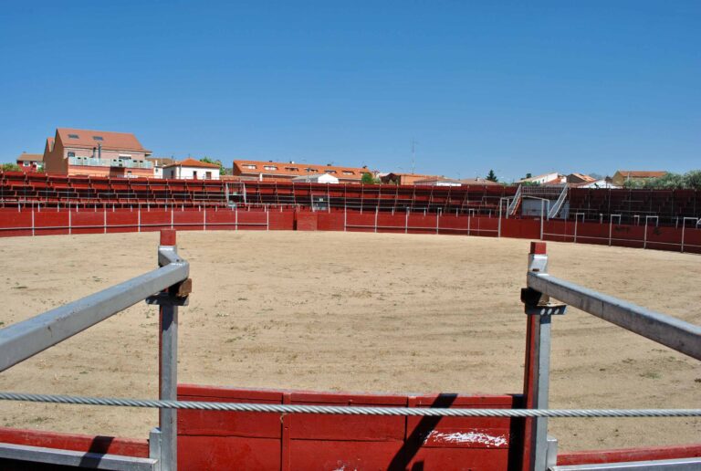 El Hoyo de Pinares définit ses affiches pour sa foire taurine