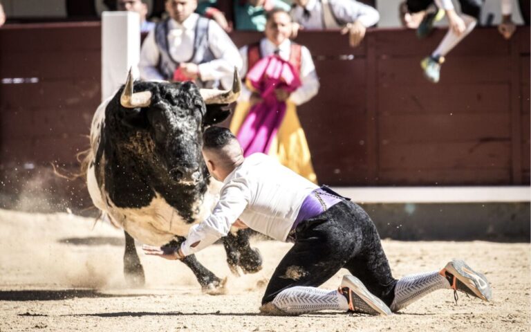 La demi-finale du Championnat d&rsquo;Espagne de Trim arrive à Las Ventas