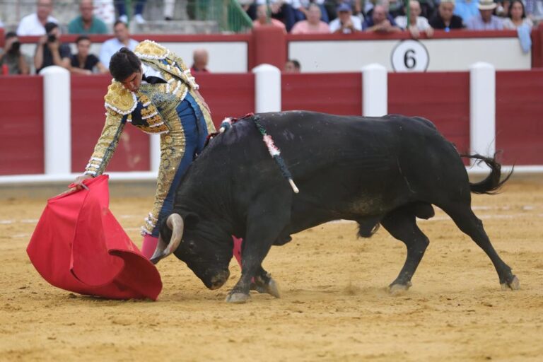 Les scores taurins de Perera à Valladolid