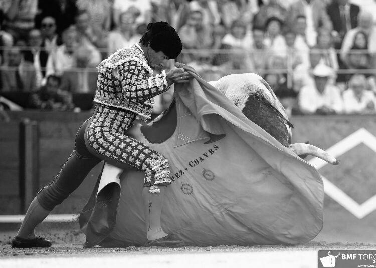 López-Chaves : la tauromachie du champ à la place