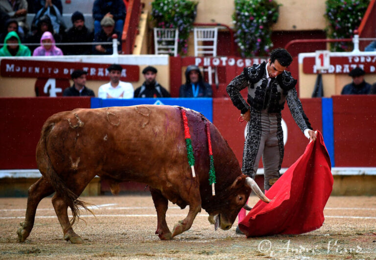 Morenito de Aranda : la maturité de la tauromachie traditionnelle