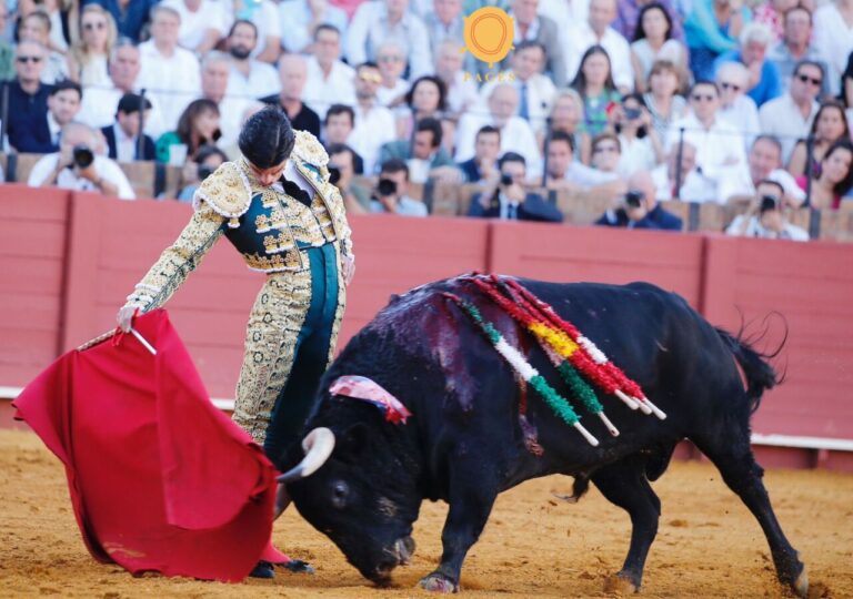 Pablo Aguado retrouve le moral et le crédit à La Maestranza