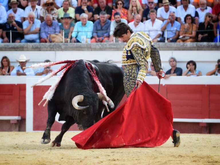 Sebastián Castella : l&rsquo;août de sa vie