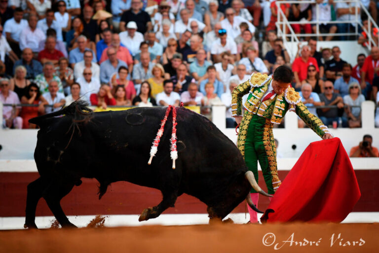 Tâche Urdiales à retenir