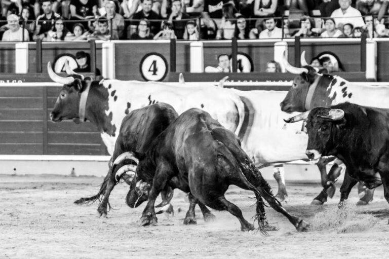 Une bonne ambiance à la périphérie d&rsquo;Albacete