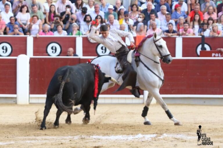 Une tâche Vicens : oreille et deux tours sur le ring avec colère contre le président