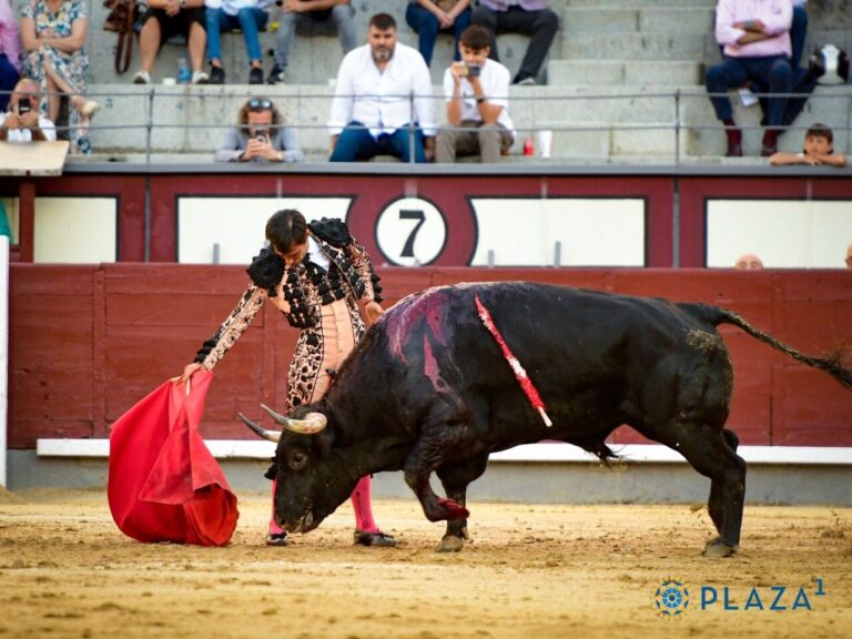 Victoriano del Río, Pedraza de Yeltes et Gómez del Pilar donnent du sens au concours de Las Ventas