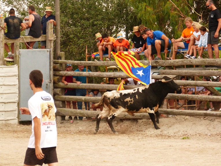 Une trentaine de maires et présidents de région de Catalogne manifestent leur rejet de la proposition de loi d&rsquo;En Comú Podem et de la CUP sur les correbous