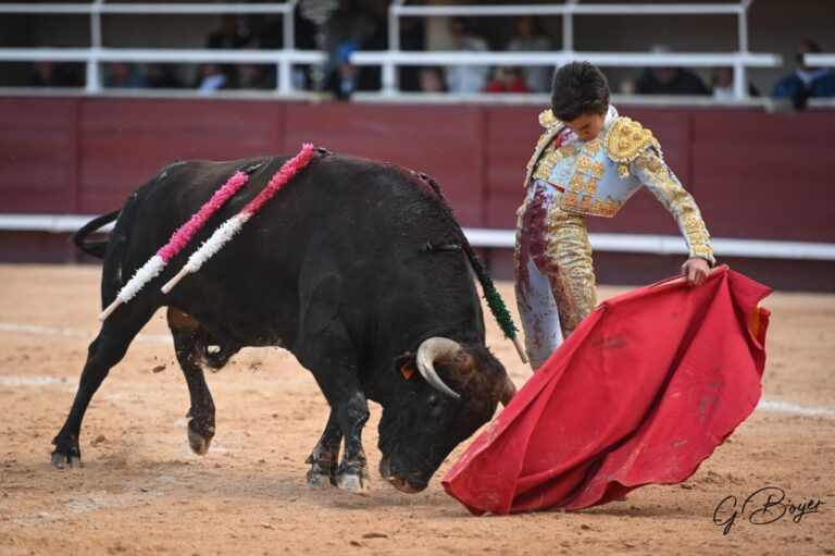 Arenas de San Pedro : tout est prêt pour les débuts de Marco Pérez en Espagne