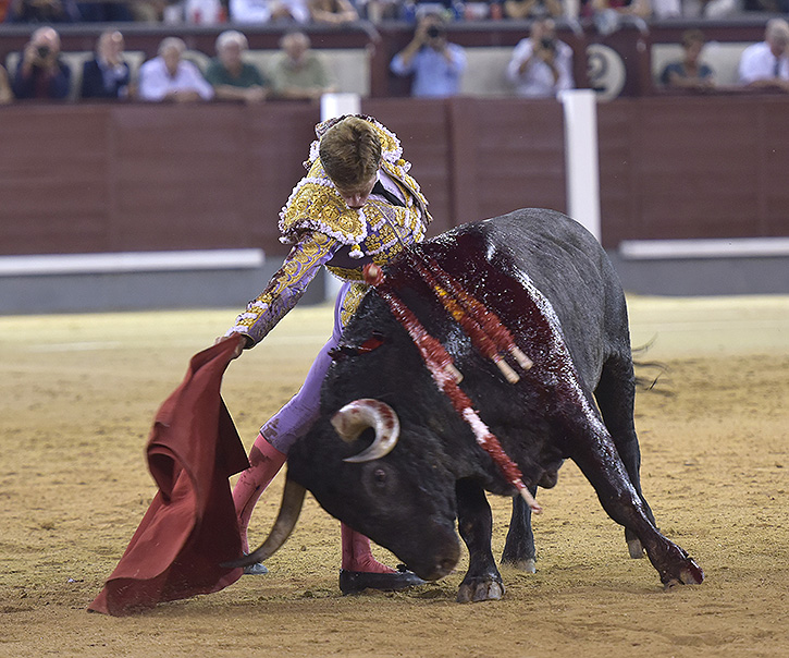 Borja Jiménez grimpe au sommet de la tauromachie