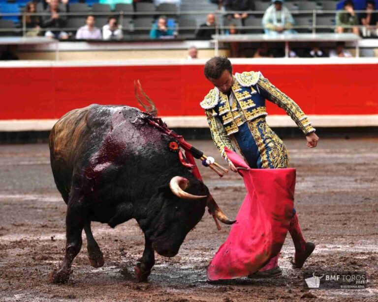 Damián Castaño, torero révélation de l&rsquo;année 2023 à Salamanque