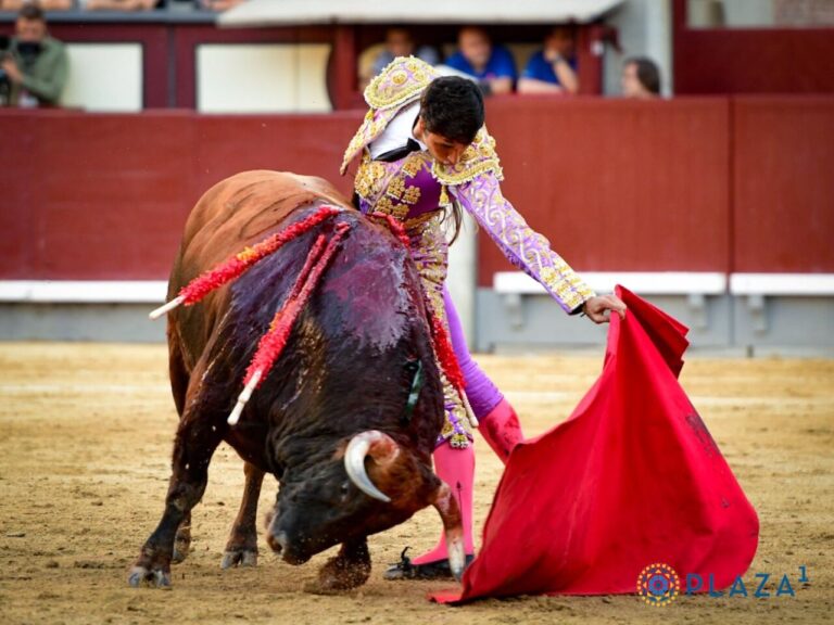 García Pulido veut devenir torero