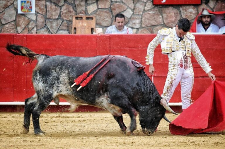 La tauromachie de David Galván impacte le Mexique