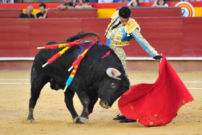 La tauromachie de Talavante laisse une fois de plus sa mémoire à Valence