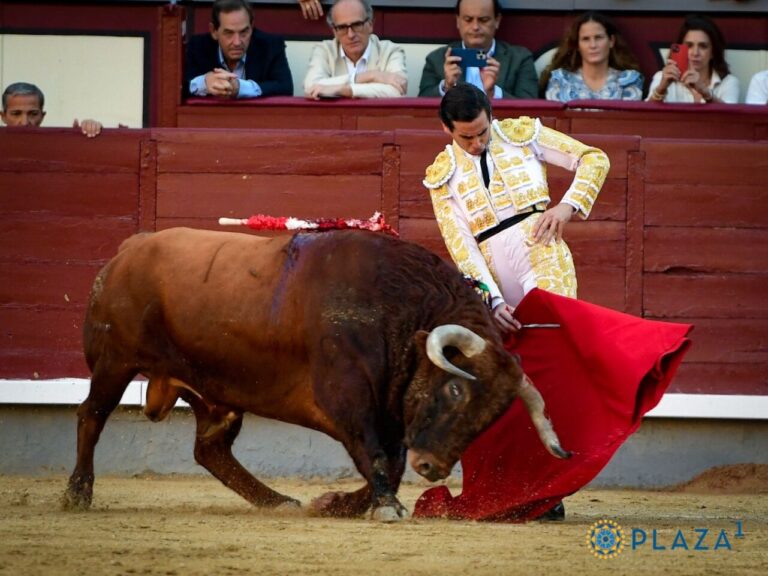 Le troisième, sans course ni force, ne laisse pas non plus briller Pablo Aguado (Direct : Las Ventas)