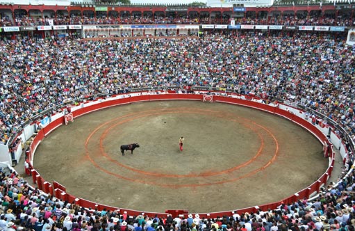 Manizales, avec des affiches dans son mini cycle de foire « Bulls and City »