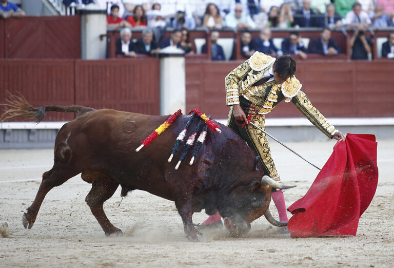 Perera entre dans l&rsquo;affiche des Arenas de San Pedro