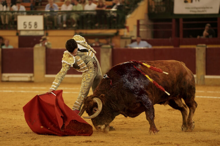 Rufo, également à Saragosse |  mundotoro.com