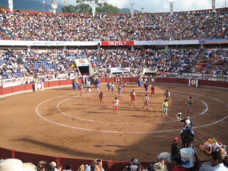 San Cristóbal continue d&rsquo;ajouter des noms et des animaux à sa foire 2024
