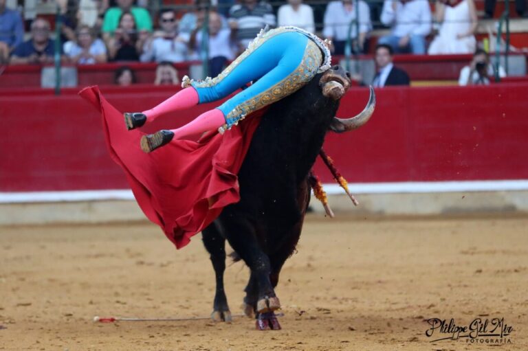 Serranito, « large déchirure musculaire du vaste médial de la cuisse droite et entorse trapézo-métacarpienne de la main droite » après son fort saut périlleux à Saragosse