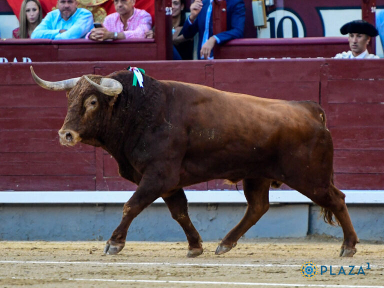 Une corrida vide d&rsquo;El Pilar termine l&rsquo;après-midi à Las Ventas