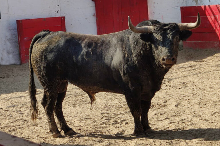 La Estancia remplace le fer Villa Carmela ce dimanche à Nuevo Progreso