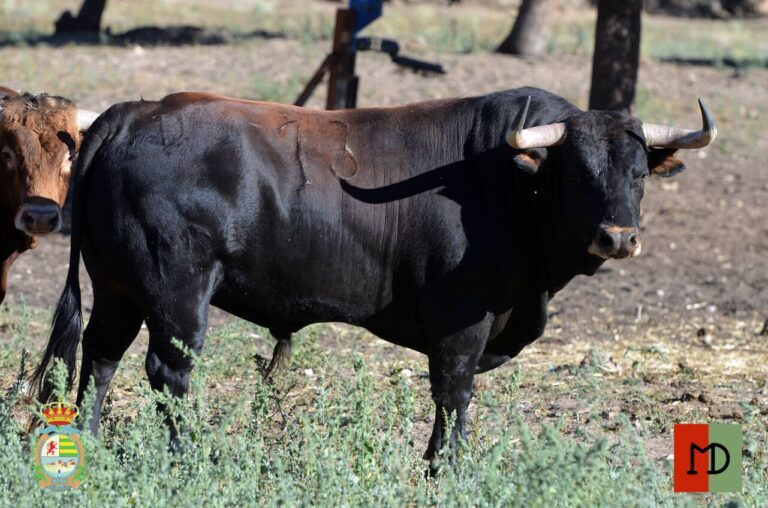 Montealto, une autre des fermes d&rsquo;élevage touchées par le moustique