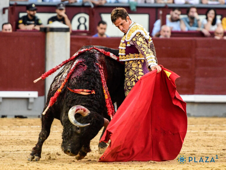 José Juan Fraile: « Qu&rsquo;El Juli choisisse votre ranch le jour où il fait ses adieux à Madrid est une incroyable satisfaction »