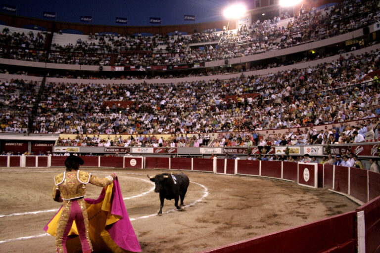 Les clubs taurins d'Aguascalientes, un engagement ferme pour la tauromachie