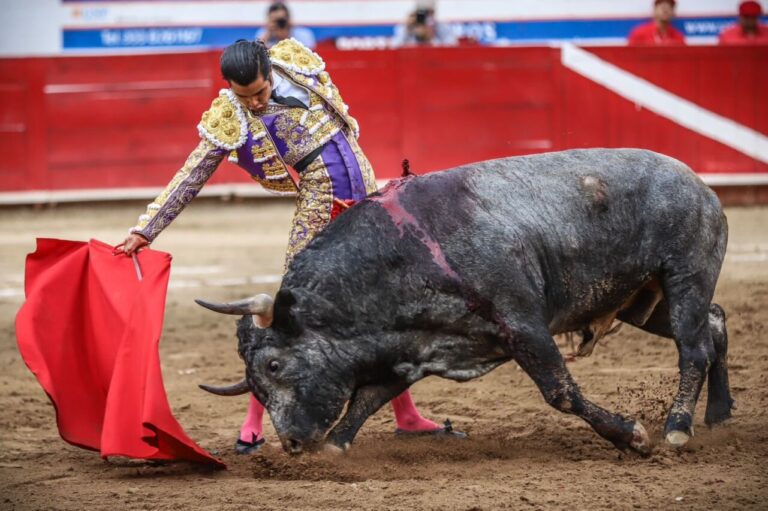 Diego San Román triomphe dans la corrida monstre de Guadalajara