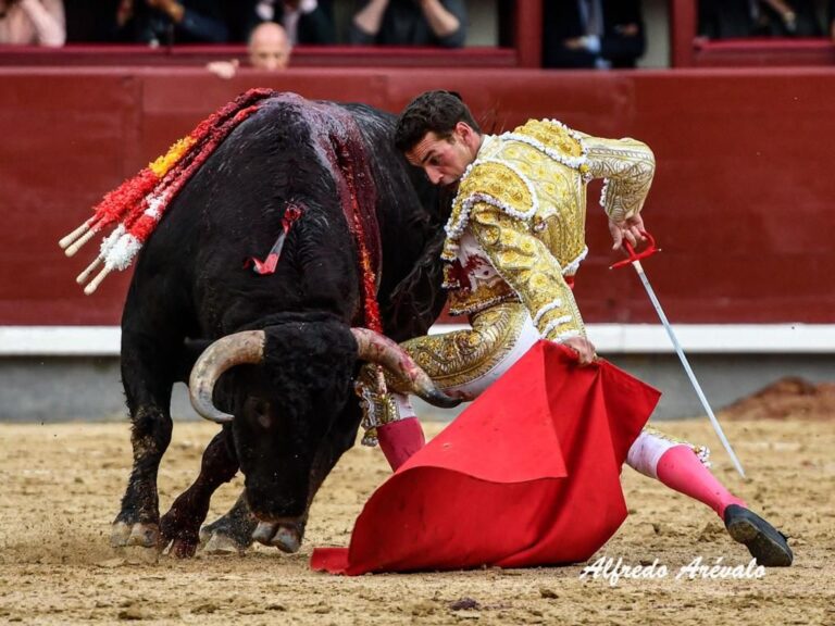 Fernando Adrian, choisi comme torero vainqueur de la saison par 33 000 fans