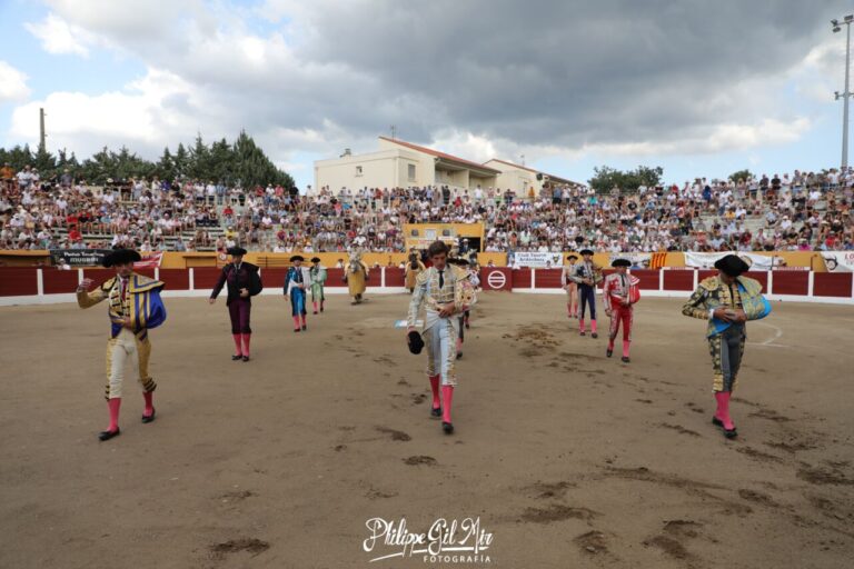 La foire taurine de Céret, avec ses élevages