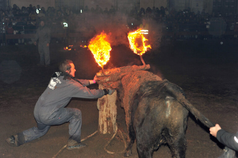 L'Association Medinaceli Jubilo Bull s'exprime après la suspension de la traditionnelle fête populaire