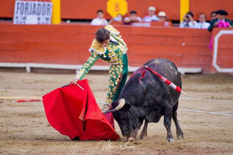 Roca Rey et l&rsquo;une des tâches de la foire d&rsquo;Acho