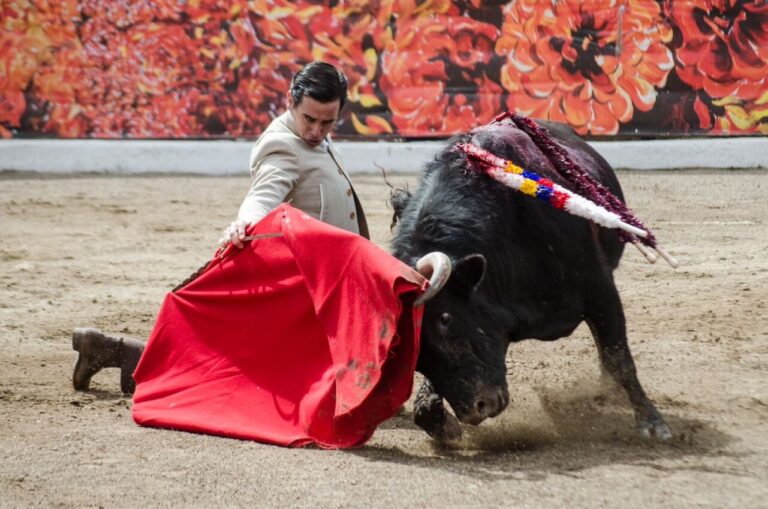 Triomphe de Juan Ortega au festival de Latacunga