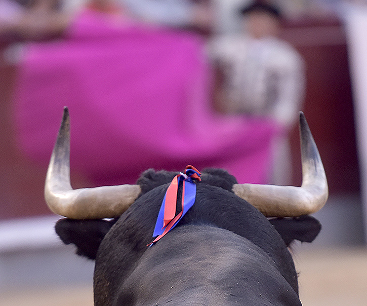 X, le vieux Twitter, met des obstacles à la tauromachie