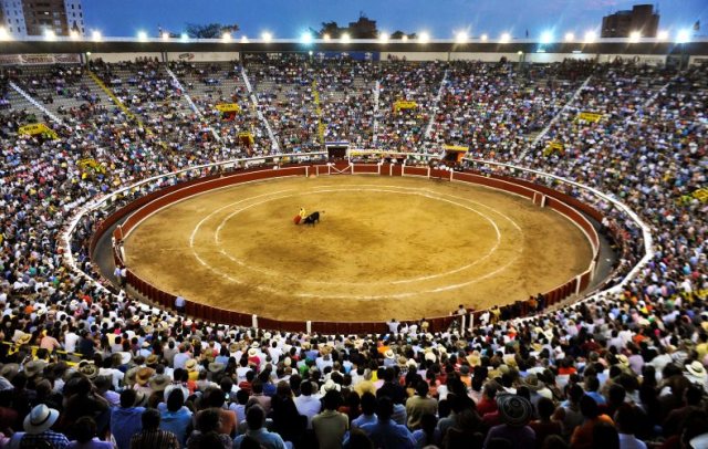 Román gâche un bon travail avec l'épée dans le deuxième ; Escribano enlève l'oreille du premier de Campo Real, récompensé par son retour sur le ring (Direct : Cali)