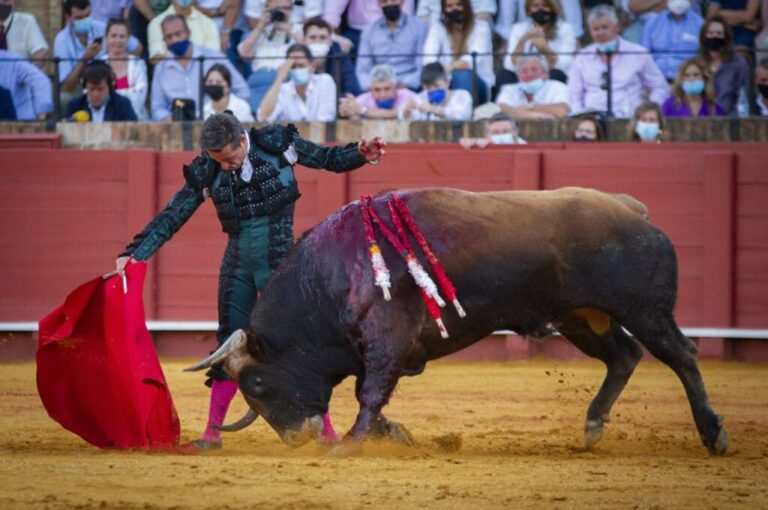 Diego Urdiales : 25 ans du duende de la Rioja