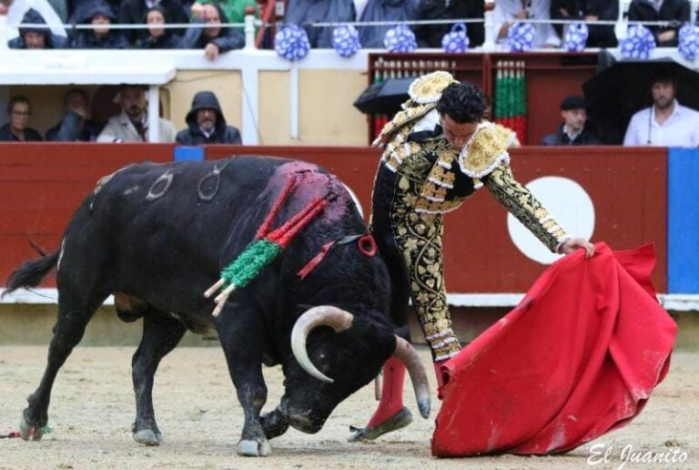 Joaquín Galdós, reconnaissance à Bayona
