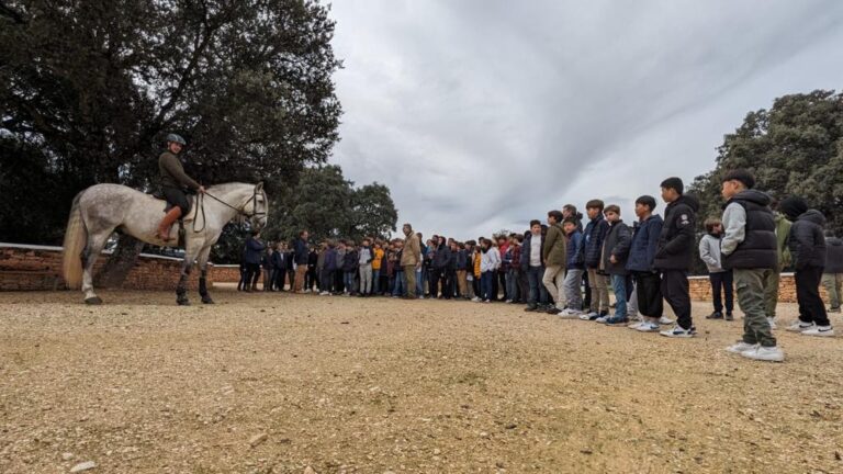 La Députation Forale de Málaga invite les écoliers à découvrir l&rsquo;élevage du taureau de combat et du cheval de race pure espagnole